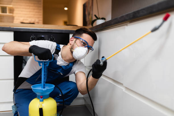 Best Termite Control Services  in Mclouth, KS