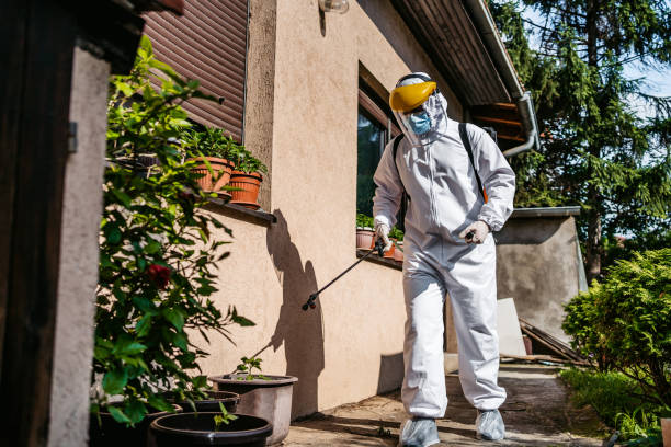 Best Pest Prevention Services  in Mclouth, KS