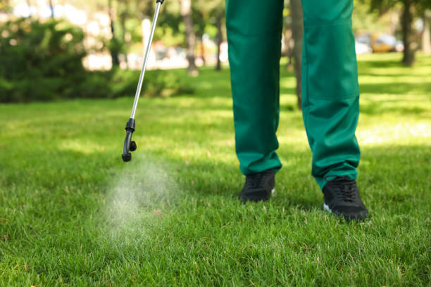 Best Local Pest Control Services  in Mclouth, KS